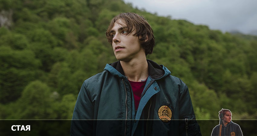 Стая (2022) 1 сезон 17 серия полностью в хорошем качестве и бесплатно