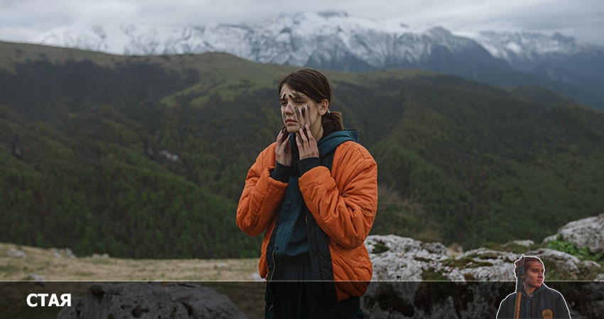 Стая (2022) 1 сезон 20 серия смотреть онлайн без рекламы и регистрации