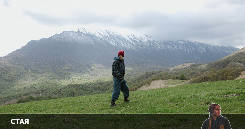 Сериал Стая (2022) 1 сезон 21 серия в 4K UHD и HD смотреть онлайн бесплатно