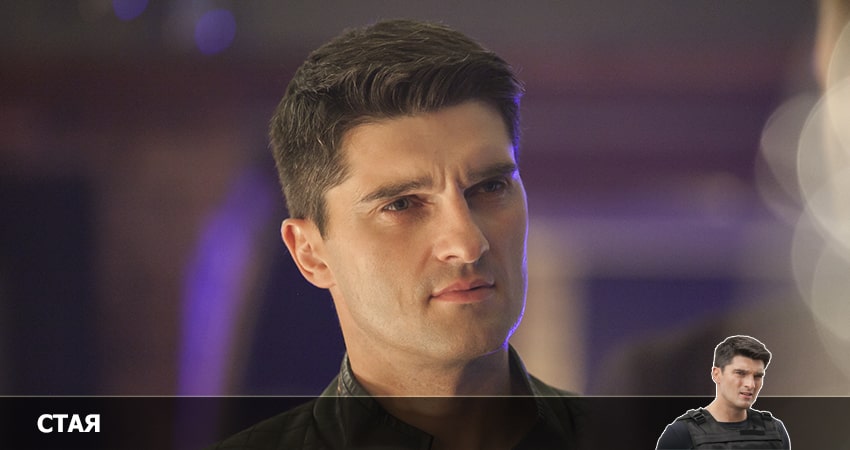 Смотреть сераил Стая (НТВ) (2022) 1 сезон 1 серия HD 1080, 4K