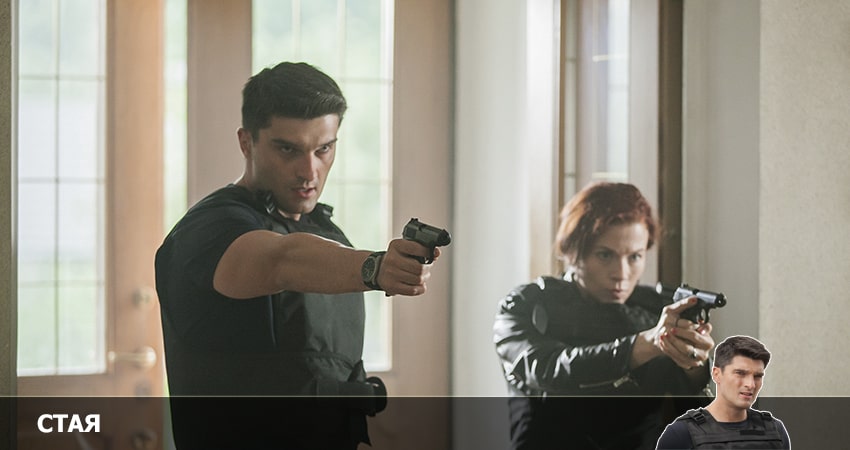 Сериал Стая (НТВ) (1 сезон) сюжет
