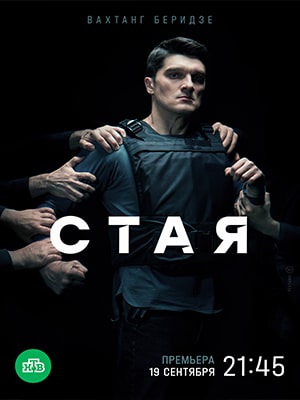 Стая (НТВ) 1 сезон, 1-20,21,22 серия (2022) смотреть онлайн