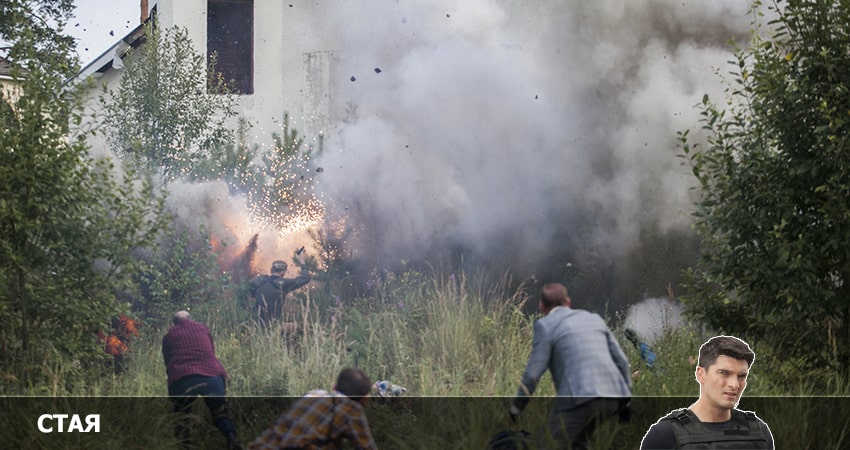 Стая (НТВ) 1 сезон 12 серия смотреть в хорошем качестве