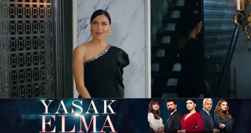 Сериал Запретный плод (Yasak Elma) (3 сезон, 162 серия) смотреть онлайн в хорошем качестве бесплатно