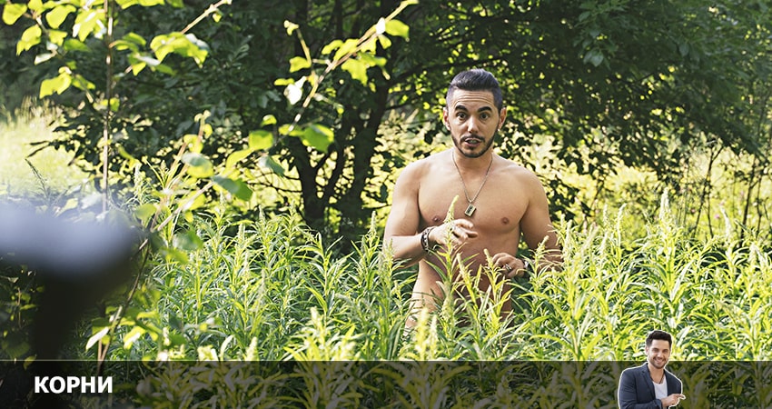 Корни (2 сезон, 2022) смотреть бесплатно онлайн