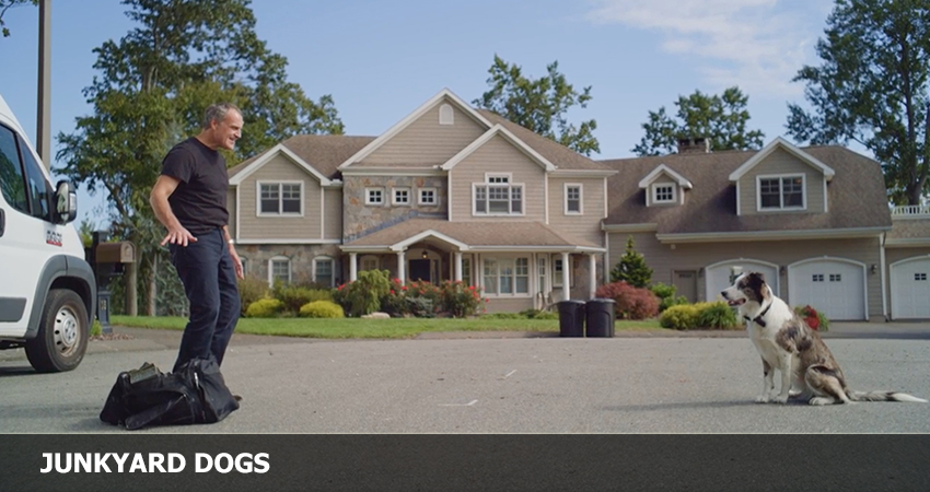 Cмотреть Фильм Лохматый патруль (США) 2022 онлайн бесплатно