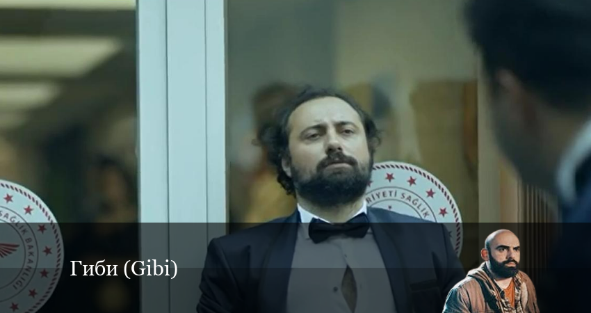 Гиби (Gibi) (2022) 1 сезон 39 серия полностью в хорошем качестве и бесплатно