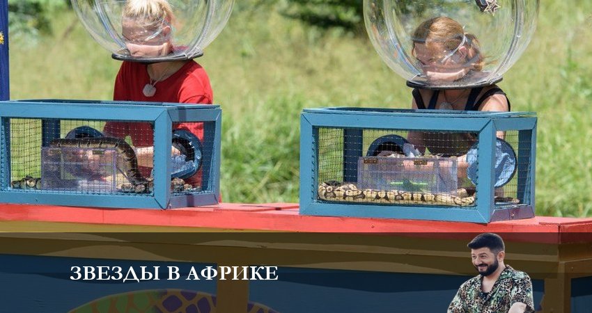 Звезды в Африке (2022) 4 сезон 17 серия смотреть онлайн бесплатно