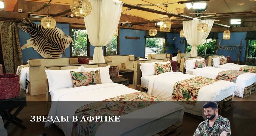 Звезды в Африке 4 сезон 22 серия полная версия смотреть бесплатно