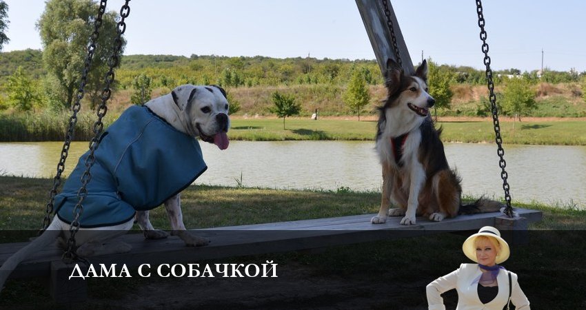 Дама с собачкой 1 сезон 8 серия полная версия смотреть бесплатно