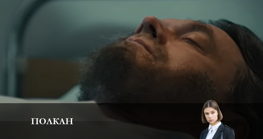 Смотреть сериал Полкан (1-16,17,18 серия) на планшете