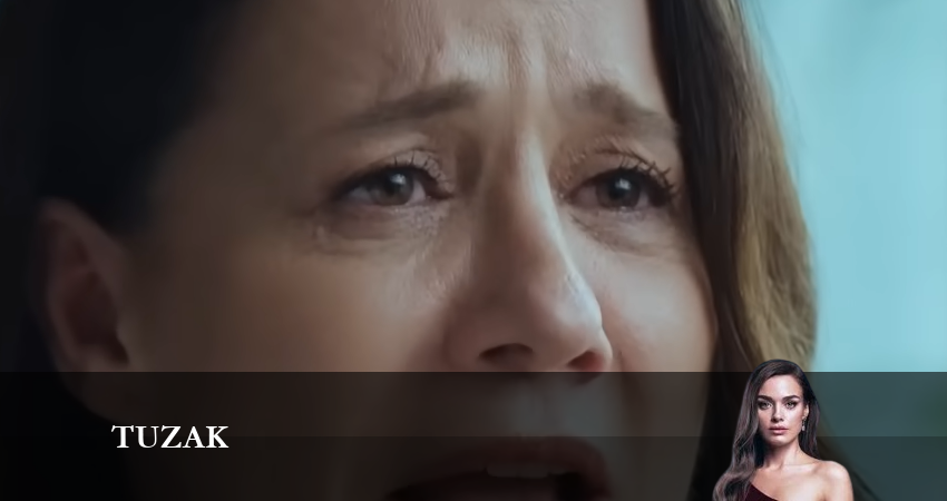 Ловушка 1 сезон 1 серия смотреть онлайн в качестве 4K