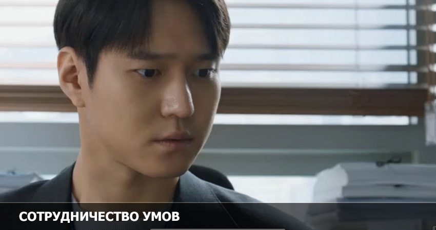 Сотрудничество умов (1-й сезон) смотреть на лорде