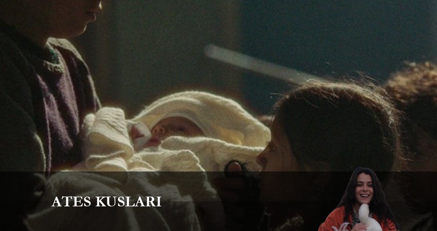 Жар-птицы (2024) 1 сезон 12 серия полностью в хорошем качестве и бесплатно