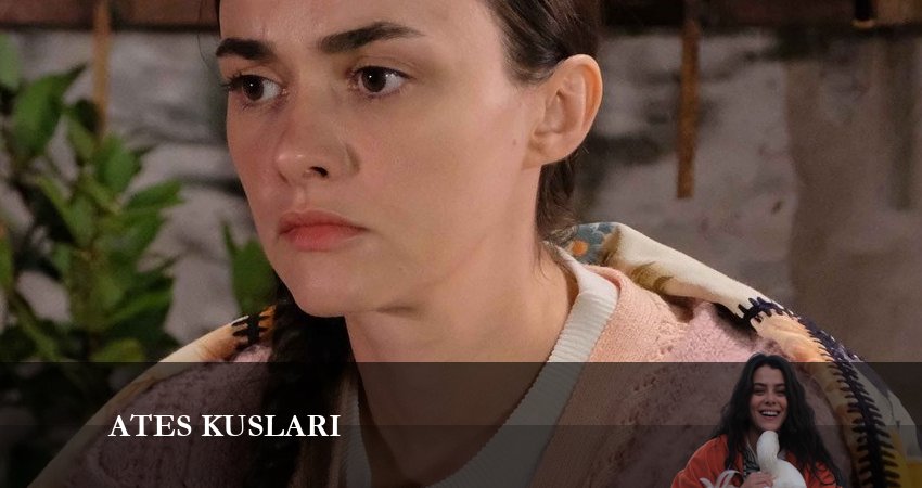 Жар-птицы (1 сезон, 2024) смотреть онлайн бесплатно