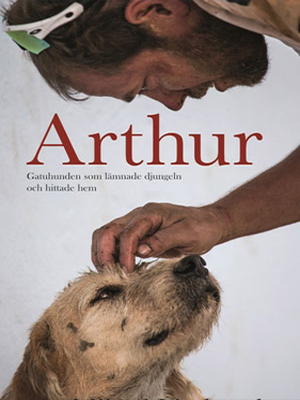 Фильм Король Артур (2023) смотреть в высоком качестве HD 1080 онлайн