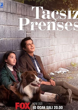 Принцесса без короны 1 сезон смотреть в высоком HD разрешении без подписки