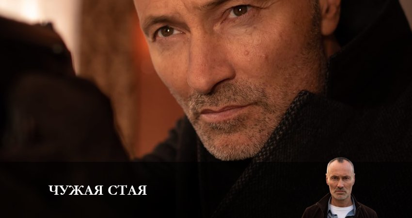 Чужая стая 2 сезон 6 серия смотреть полностью без перерыва