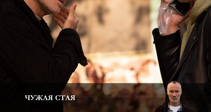 Чужая стая (2023) 2 сезон 14 серия смотреть онлайн без рекламы и регистрации