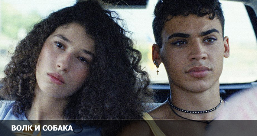 Волк и собака (2023) смотреть бесплатно онлайн