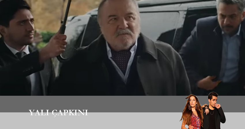 Зимородок (1 сезон, 2022) смотреть бесплатно онлайн без рекламы