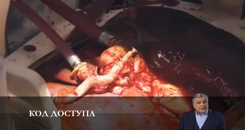 Код доступа 2023 1 сезон 1 серия полная версия смотреть бесплатно