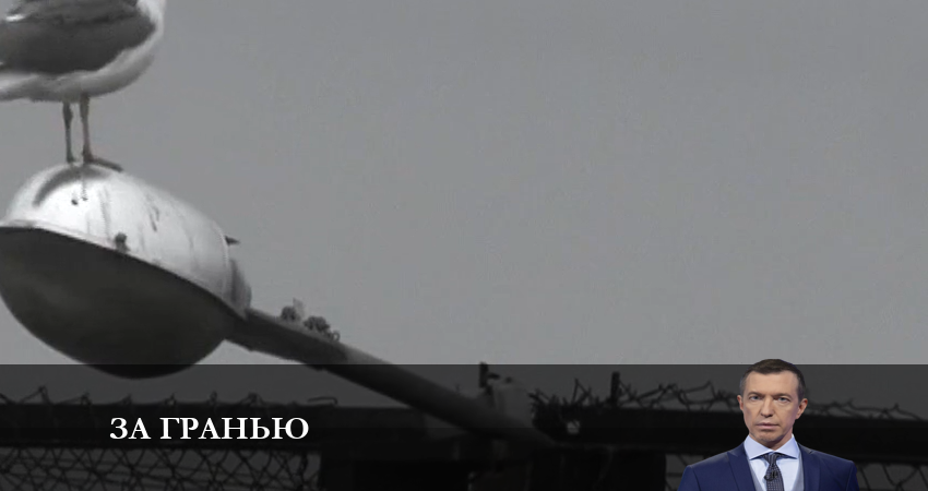 За гранью 2023 (2 сезон) смотреть онлайн без регистрации