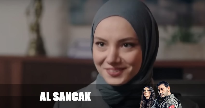 Красный флаг (1 сезон, 17 серия) смотреть онлайн бесплатно без рекламы