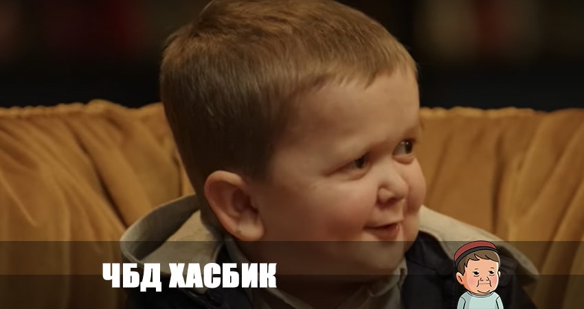 ЧБД хасбик 2023 (2023) 1 сезон 9 серия смотреть в 4K качестве онлайн