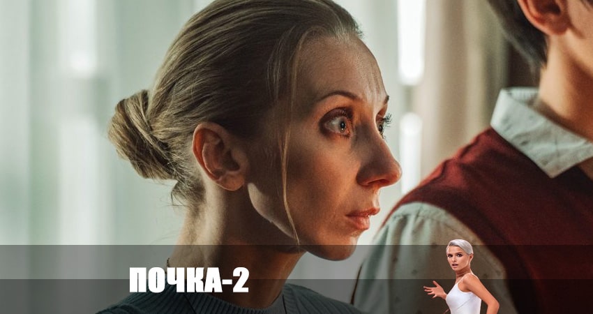 Сериал Почка (2-й сезон) описание