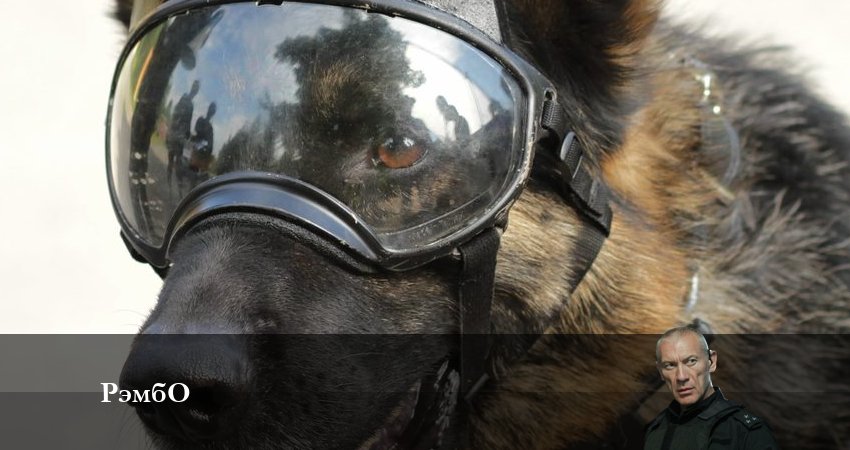 РэмбО 2023 (2023) 1 сезон 1 серия смотреть в HD 1080 без регистрации