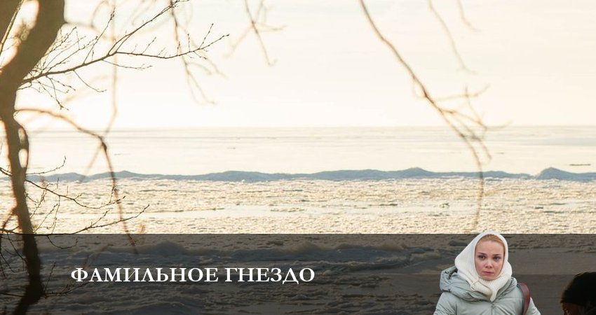 Фамильное гнездо (2023) 1 сезон 4 серия полностью смотреть бесплатно без рекламы