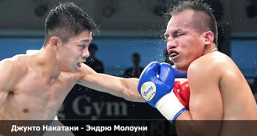 Джунто Накатани - Эндрю Молоуни (20.05.2023) 2 смотреть онлайн бесплатно лордфильм