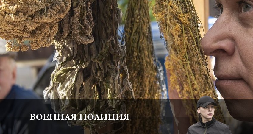 Военная полиция 1 сезон 4 серия смотреть бесплатно в хорошем качестве