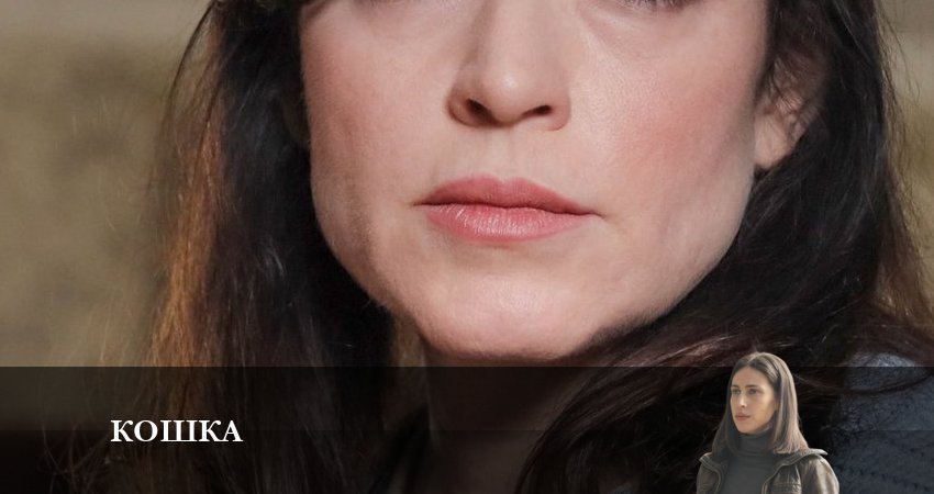 Смотреть сераил Кошка 2023 1 сезон 3 серия HD 1080, 4K