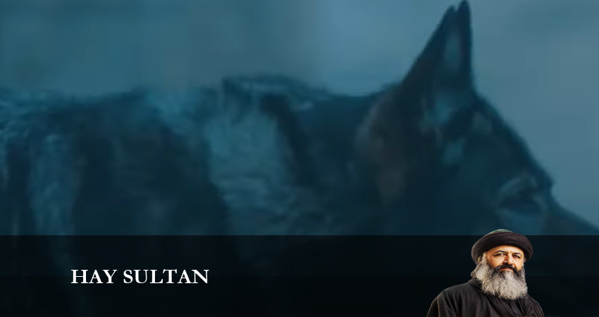Смотреть сериал Эй, Султан (2023) 1 сезон 5 серия без рекламы в HD