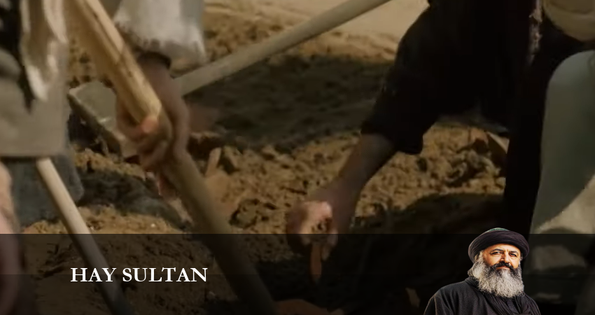 Эй, Султан 1 сезон 7 серия смотреть онлайн бесплатно в хорошем качестве