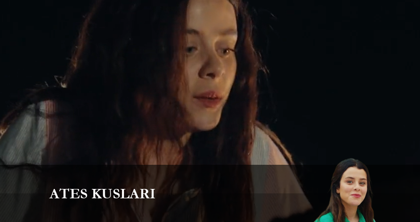 Сериал Жар-птицы (2024) 1 сезон 31 серия в хорошем качестве 1080 Full HD