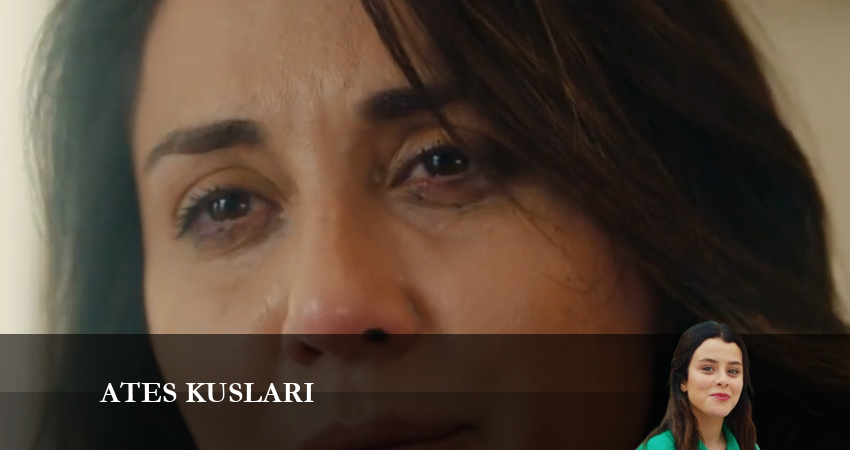 Жар-птицы (2024) 1 сезон 40 серия смотреть онлайн без рекламы