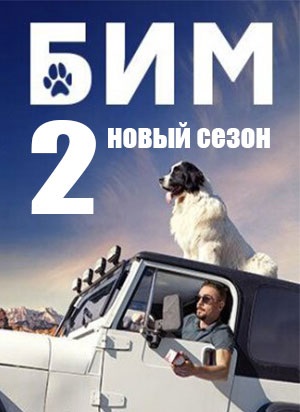 Сериал Бим 2022 2 сезон полный сезон смотреть онлайн в высоком качестве