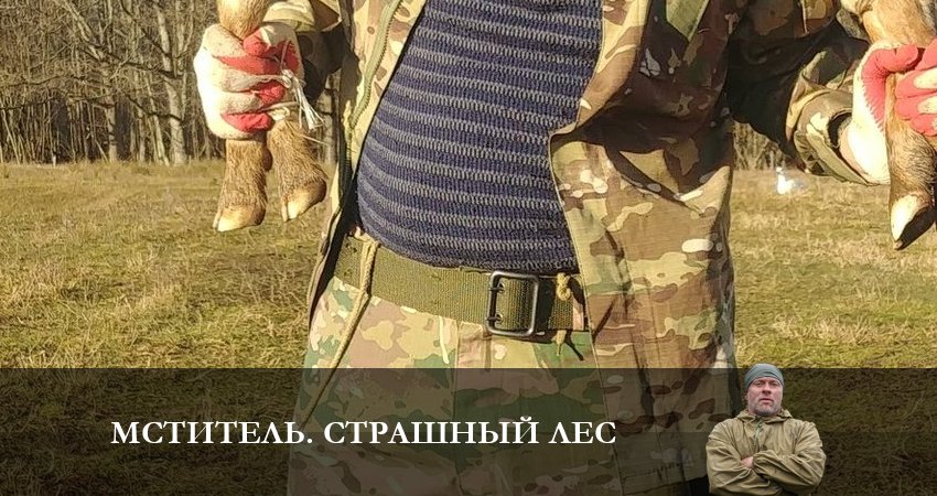 Мститель. Страшный лес (1 сезон) 4k