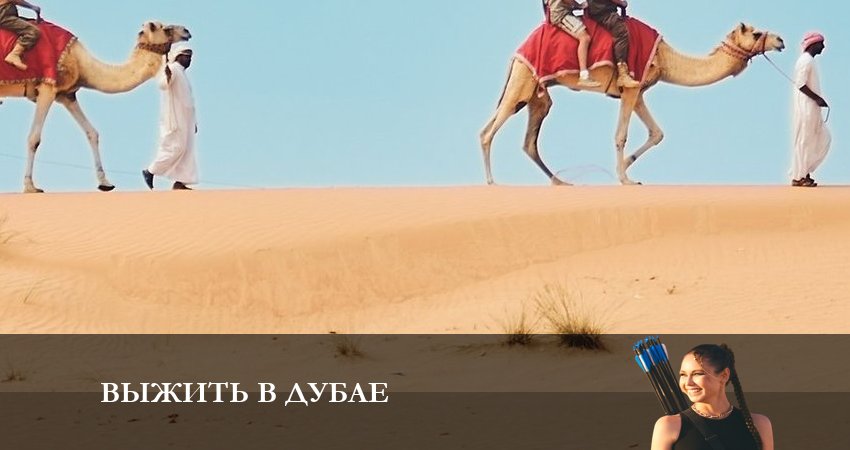 Выжить в Дубае 1 сезон 2 серия полная версия смотреть бесплатно