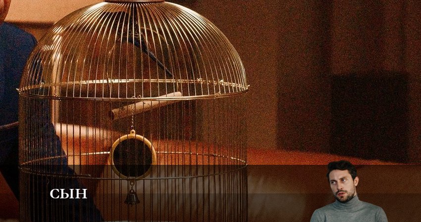 Сын 2023 (2023) 1 сезон 1 серия смотреть в 4K качестве онлайн