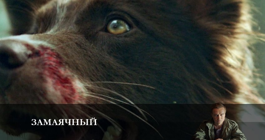 Смотреть сериал Замаячный (1 сезон, 1-8,9,10 серия) на телевизоре