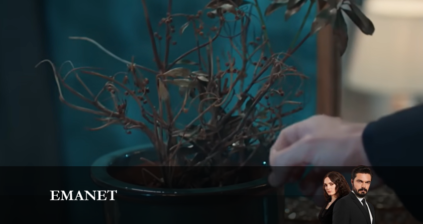 Доверенное (1-й сезон) сериал бесплатно