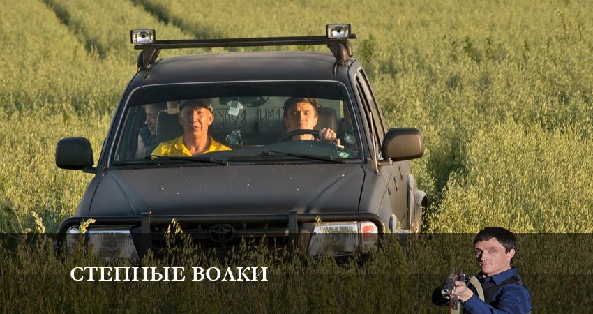 Сериал Степные волки (2023) 2 сезон 11 серия в хорошем качестве 1080 Full HD