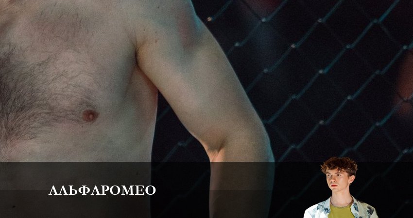 Будет ли продолжение АльфаРомео (1 сезон, 1-11,12,13 серия)