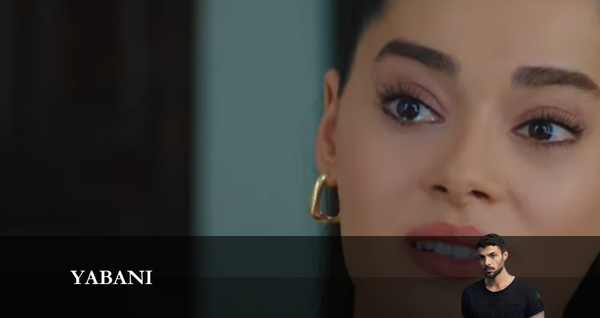 Дикий 2023 (2024) 1 сезон 11 серия смотреть онлайн бесплатно