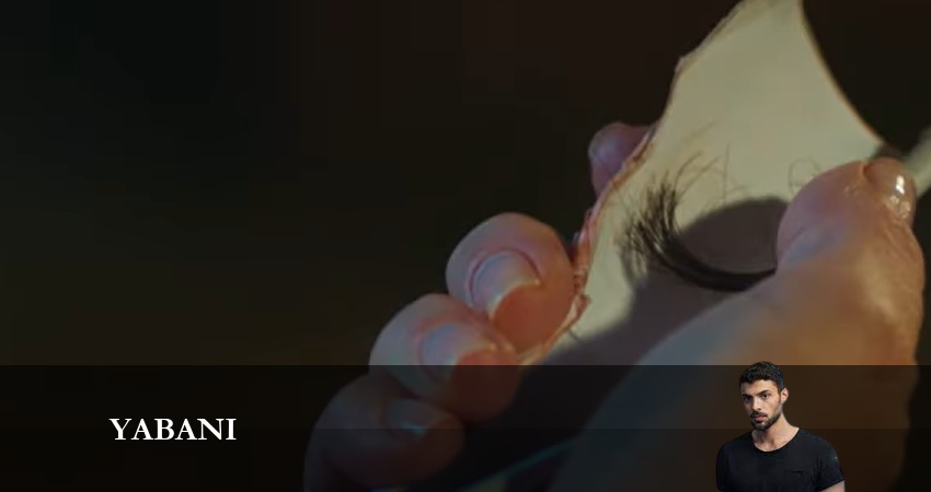 Дикий 2023 (2024) 1 сезон 12 серия смотреть онлайн бесплатно