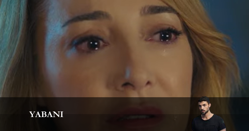 Дикий 2023 1 сезон 14 серия смотреть онлайн бесплатно в хорошем качестве